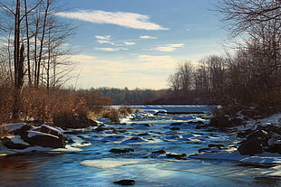 river with stones covered in snow beside trees under blue cloudy sky