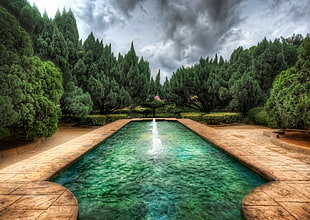 brown concrete framed fountain near trees under cloudy sky