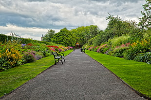 landscape photography of bench in pathway