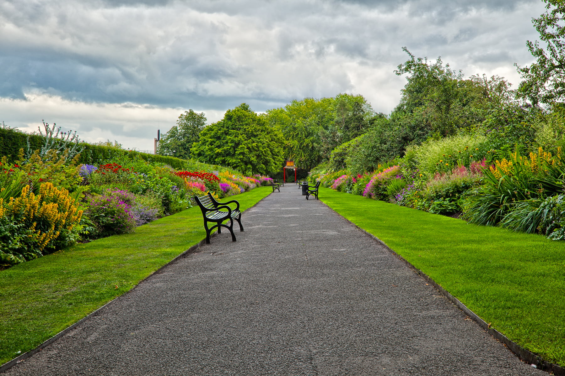 landscape photography of bench in pathway
