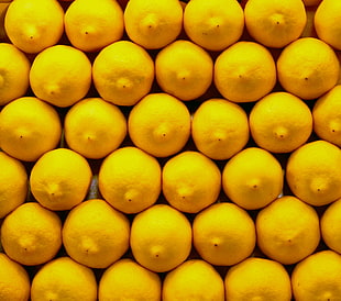 lemon fruits, lemons HD wallpaper