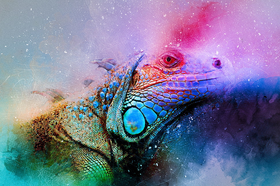 grey iguana, Iguana, Reptile, Art HD wallpaper