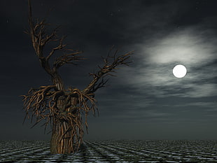 brown dried tree under white cloudy sky with full moon during nighttime