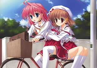 two girl anime character riding bicycle illustration