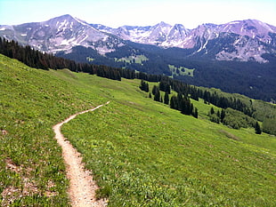 landscape photography of pathway in between of green grass in front of mountain during daytime, crested butte