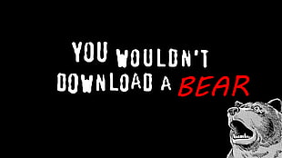 you wouldn't download a bear meme, memes, bears, typography, humor HD wallpaper