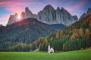 white chapel, landscape, mountains, forest, grass
