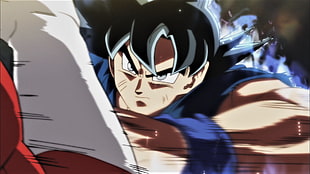 Son Goku Ultra Instinct, Super Saiyan Blue, DBS, Son Goku, Dragon Ball Super HD wallpaper