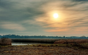brown grass fieled timelapse photography