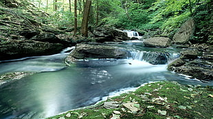 timelapse photo of waterfalls inside forest HD wallpaper