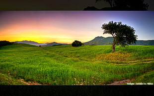 flat screen television, landscape