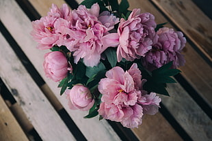 pink peony flowers bouquet HD wallpaper