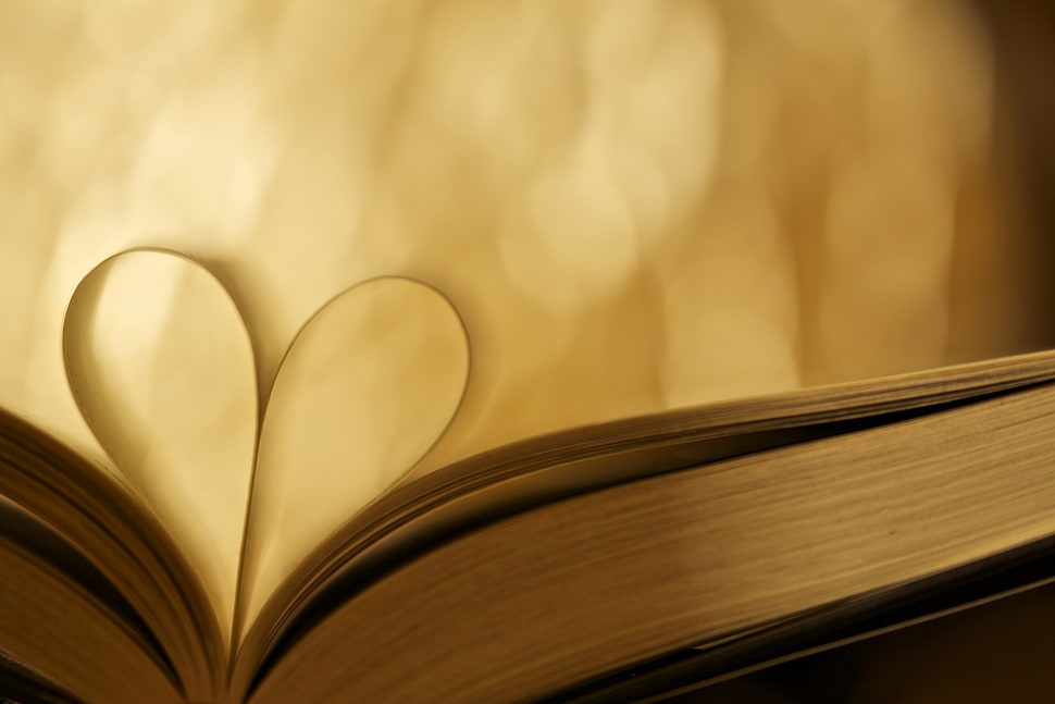 photo of heart-shaped book page HD wallpaper