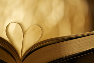 photo of heart-shaped book page HD wallpaper