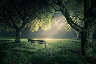brown wooden bench, park, lawns, trees, nature HD wallpaper