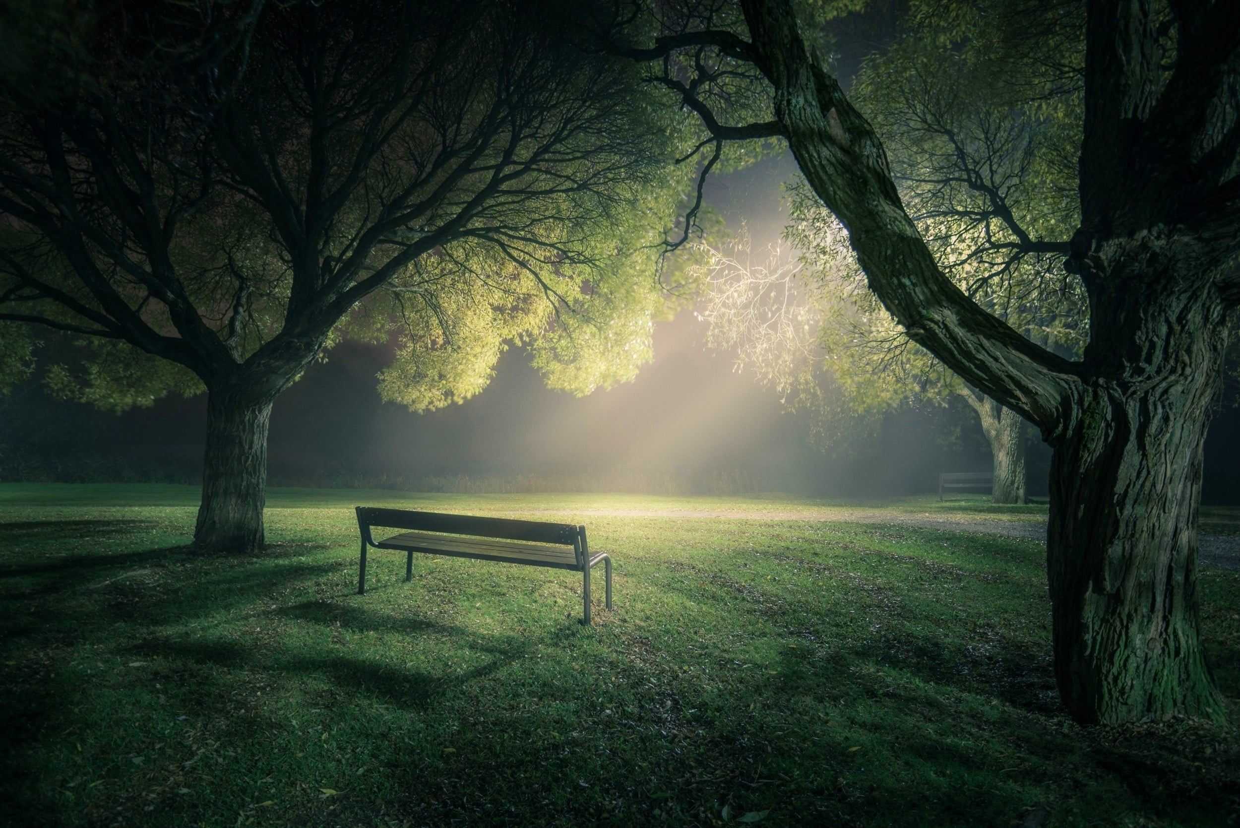 brown wooden bench, park, lawns, trees, nature