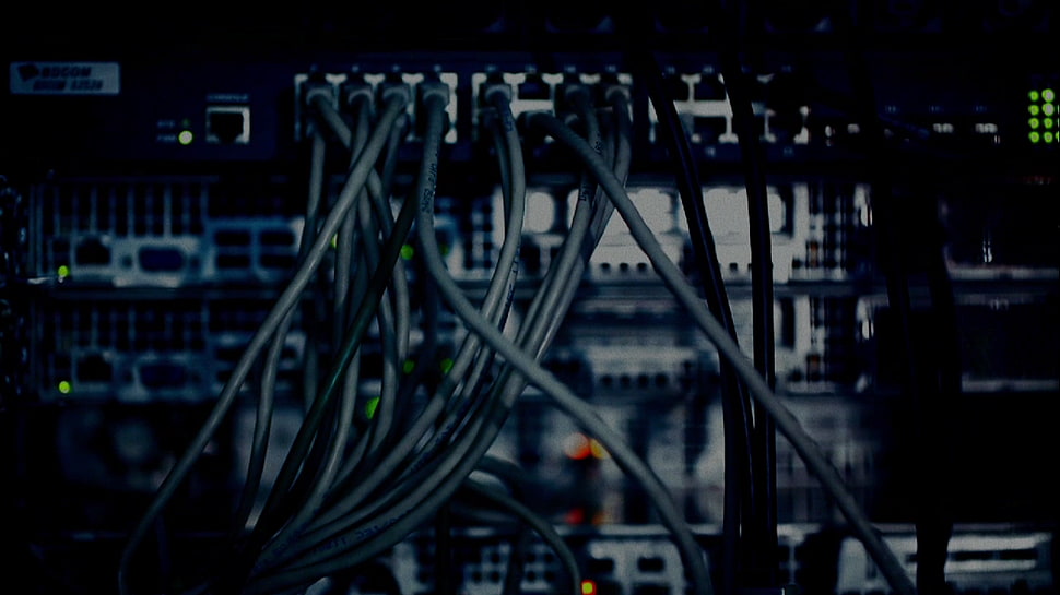 gray computer motherboard cables, hardware, wires, technology HD wallpaper