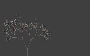 beige withered tree illustration, trees, minimalism