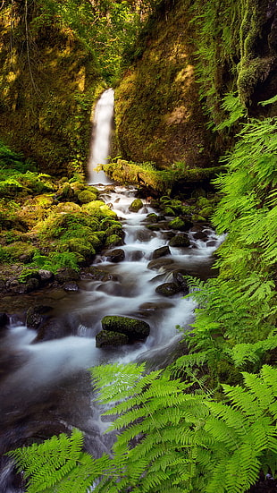 waterfalls and river time-lapse photo, landscape, vertical, creeks