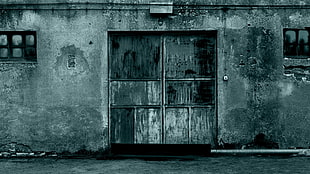 two black wooden doors, zombies, window, door