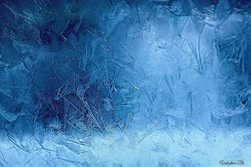 blue and white textile HD wallpaper
