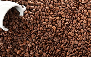 white ceramic mug surrounded by coffee beans
