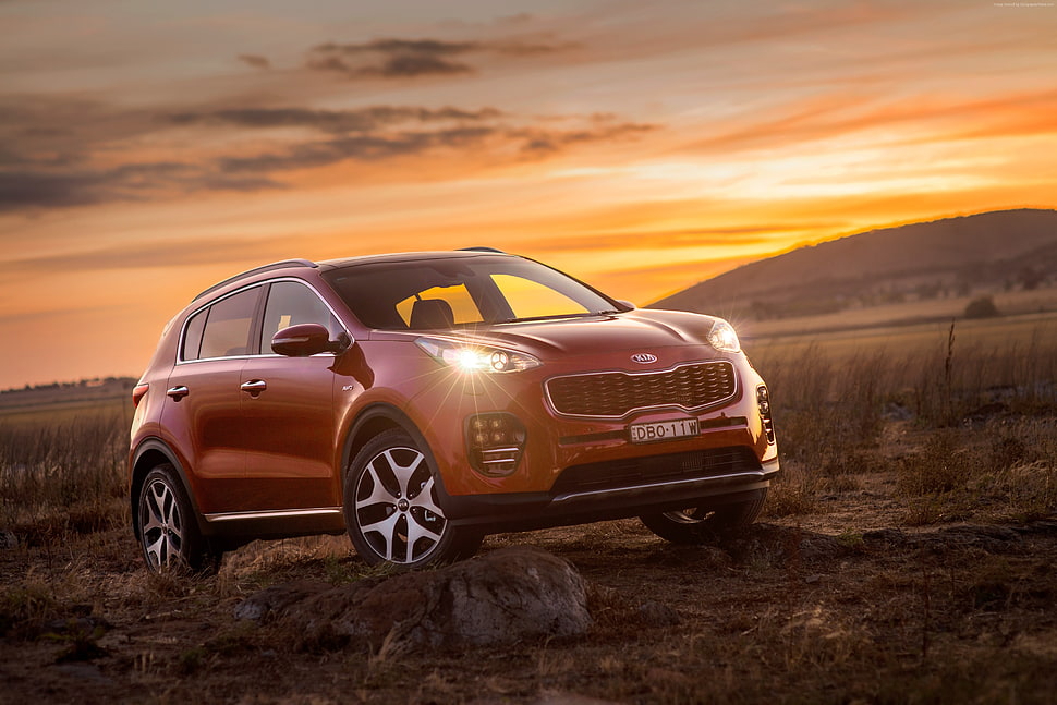 red Kia Sportage on brown field during golden hour HD wallpaper
