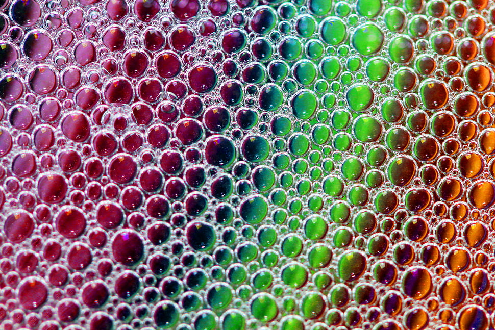 multicolored painting HD wallpaper