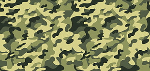 green, black, and gray woodland camouflage photo