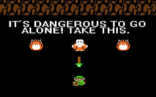 its dangerous to go alone take this game