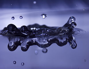 macro photo of water drops