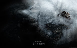 Skyrim game applicaton, The Elder Scrolls V: Skyrim