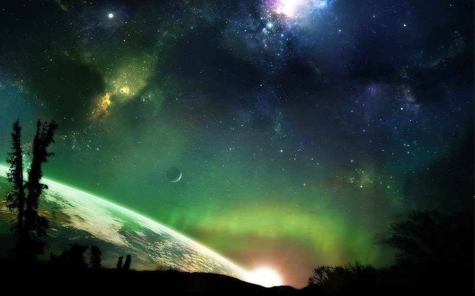 silhouette of trees under constellation during nighttime HD wallpaper