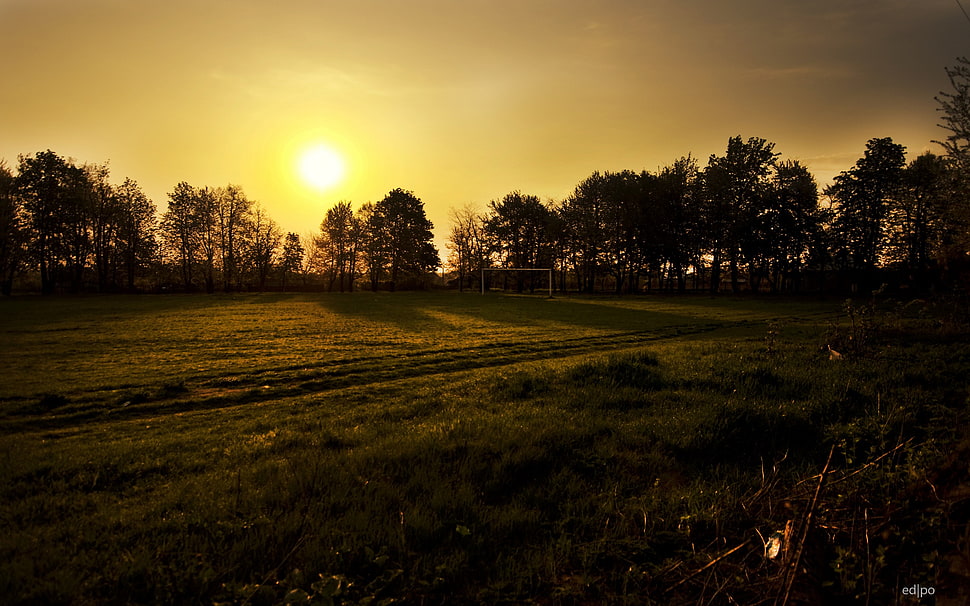 green field, nature, sunset, landscape, Sun HD wallpaper