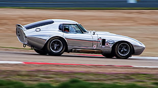 gray sports car, car, Shelby Cobra Daytona
