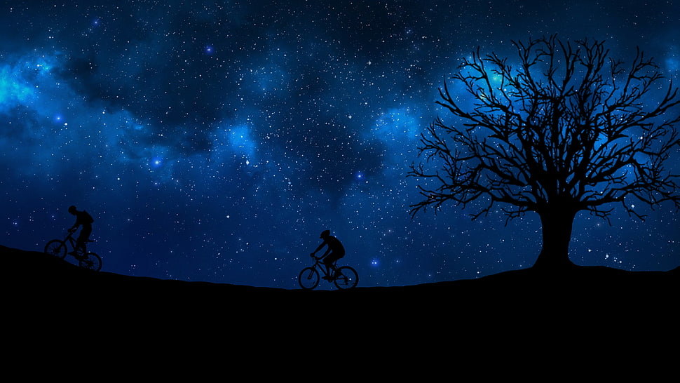 silhouette of two person under blue night sky illustration HD wallpaper