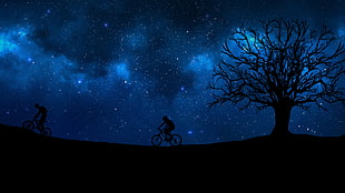 silhouette of two person under blue night sky illustration