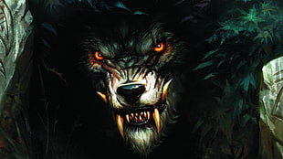 black wolf printed shirt, World of Warcraft, wolf,  World of Warcraft, Worgen HD wallpaper