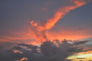photography of skies during sunset
