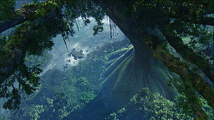 green tree, Avatar HD wallpaper