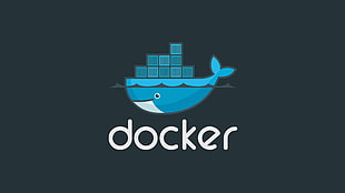 blue and white LED signage, docker, containers, brand HD wallpaper