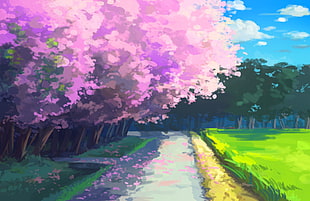 cherry blossom graphics, anime, cherry blossom HD wallpaper