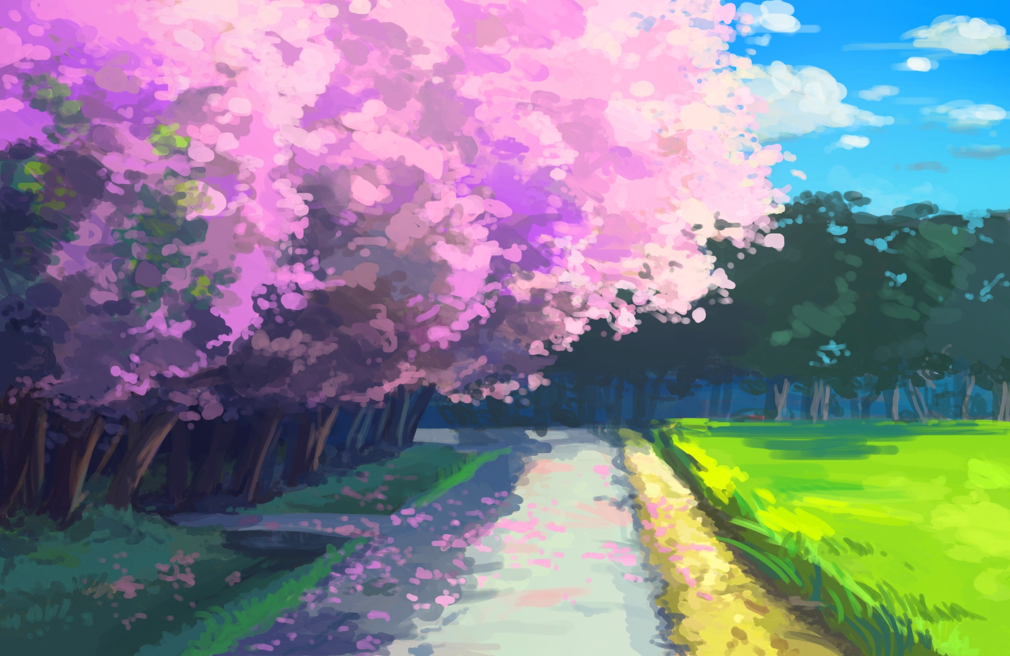 Cherry Blossom Sea Anime Scenery Wallpaper 4K PC Desktop 1530f