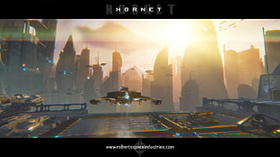 Hornet game application, space, spaceship, Star Citizen HD wallpaper