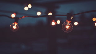 selective focus photo of turned-on string lights, lightbulb HD wallpaper