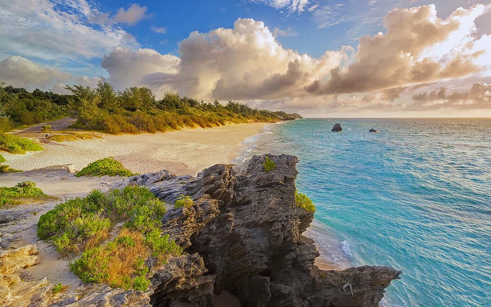 green sea, nature, landscape, beach, Bermuda HD wallpaper