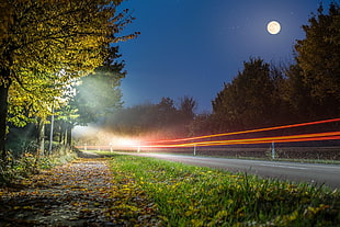 timelapse photography of road surrounded by trees, landscape, plants, long exposure, street