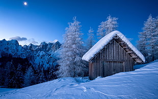 snow-covered brown wooden shed illustration, nature, landscape
