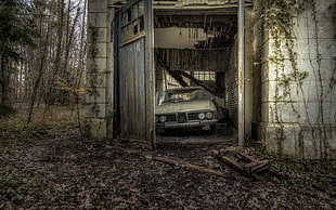 brown and gray wooden house, wreck, car, old, vehicle