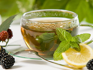 clear drinking cup and stainless steel spoon, tea, lemons, blackberries, mint HD wallpaper